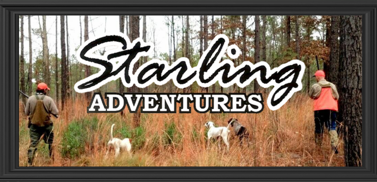 Starling Adventures